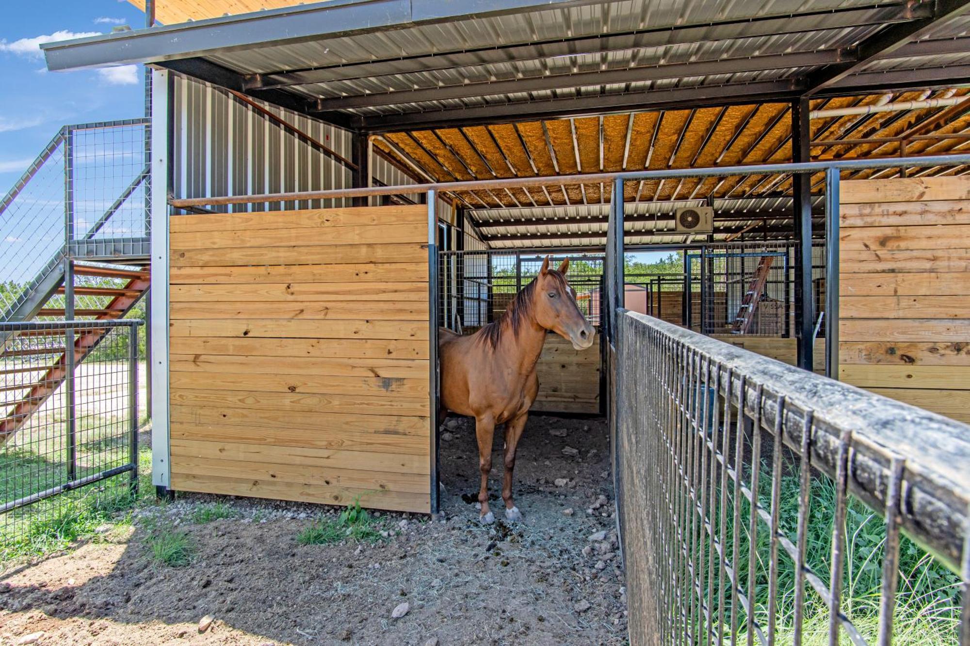 Lucky Star Ranch - Stargazer Otel Tarpley Dış mekan fotoğraf
