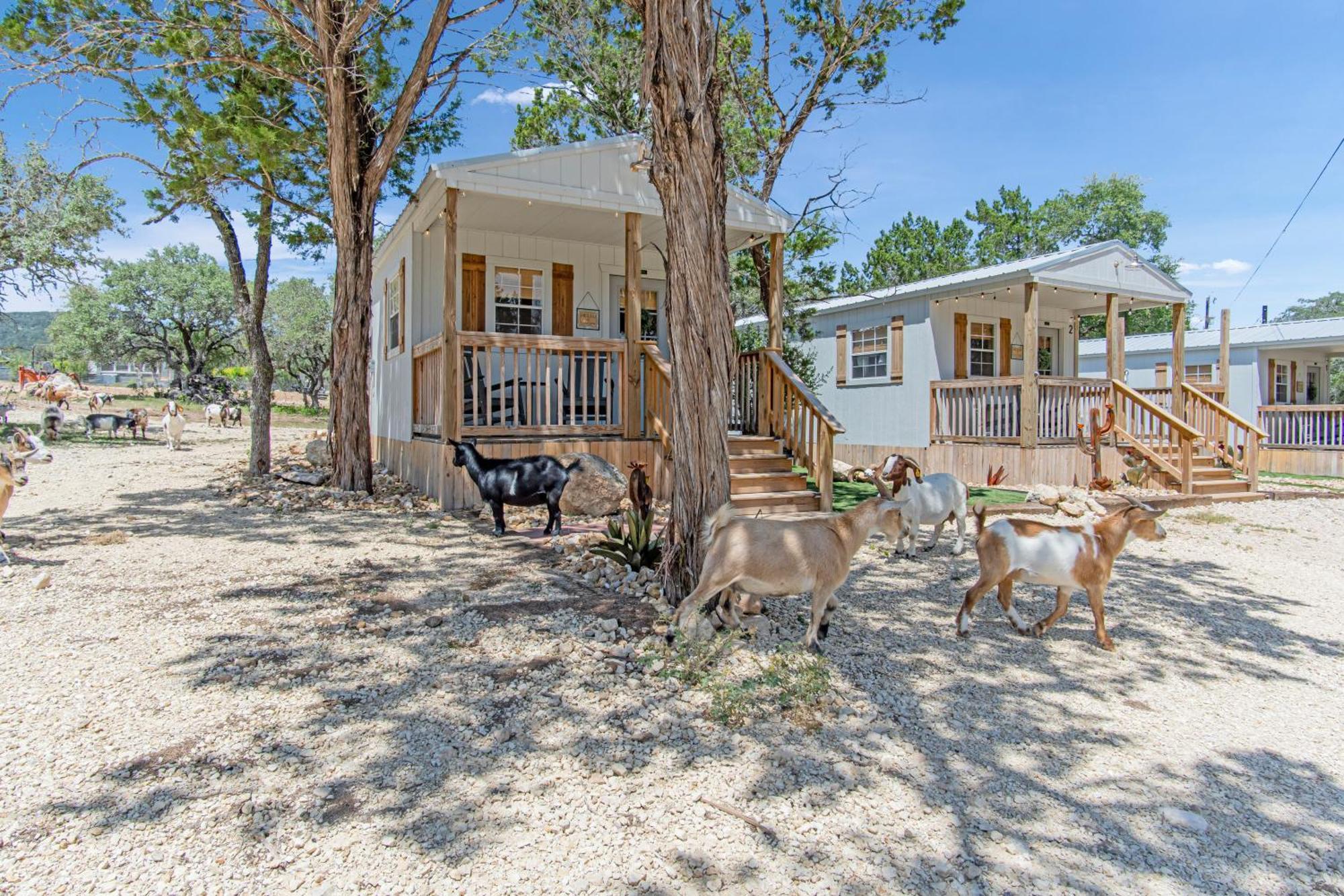 Lucky Star Ranch - Stargazer Otel Tarpley Dış mekan fotoğraf